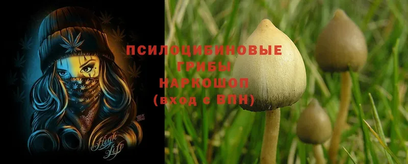 Псилоцибиновые грибы Magic Shrooms Бирюсинск